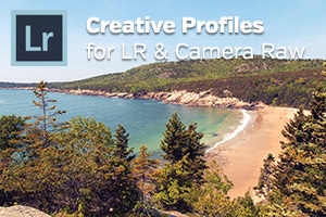 Creative Profiles for Lightroom and Camera Raw