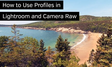 How to Use Profiles in Lightroom and Camera Raw
