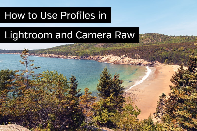 How to Use Profiles in Lightroom and Camera Raw