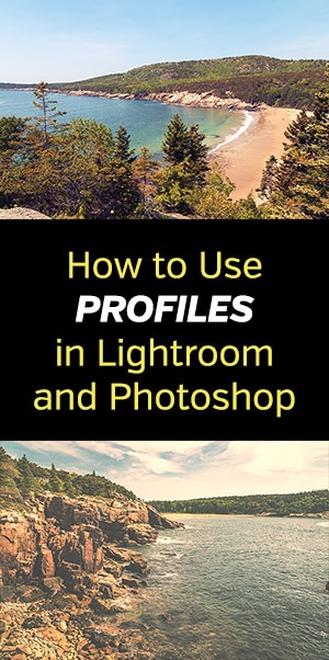 lightroom 4 profiles