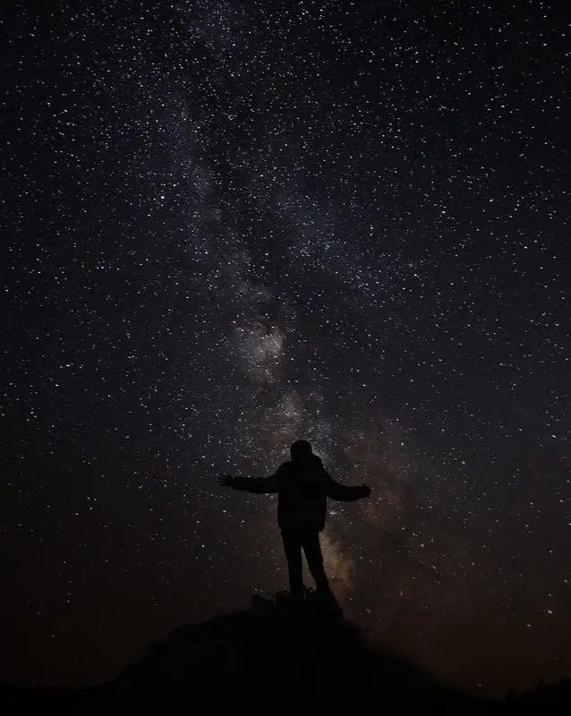 Come scegliere l'ISO giusto per le tue foto naturalistiche