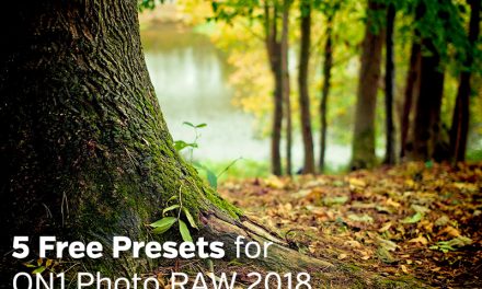 5 Free Presets for ON1 Photo RAW 2018