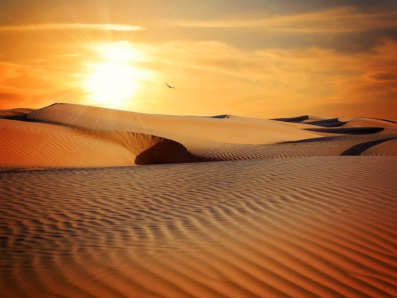 6 Tips for Photographing Sand Dunes