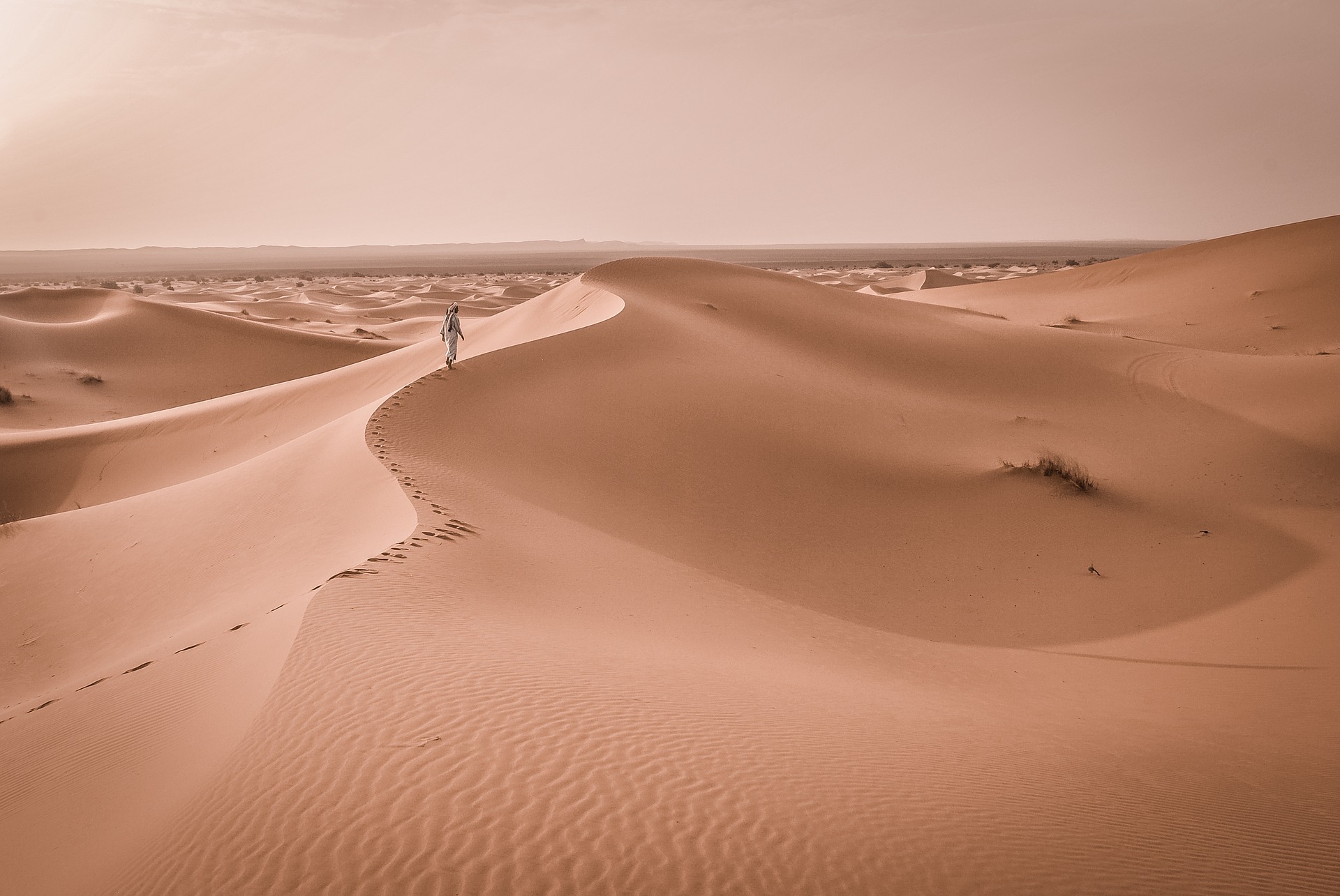 Desert Photography 101