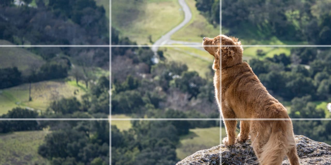 Why You Should Know the Rule of Thirds for Better Photos