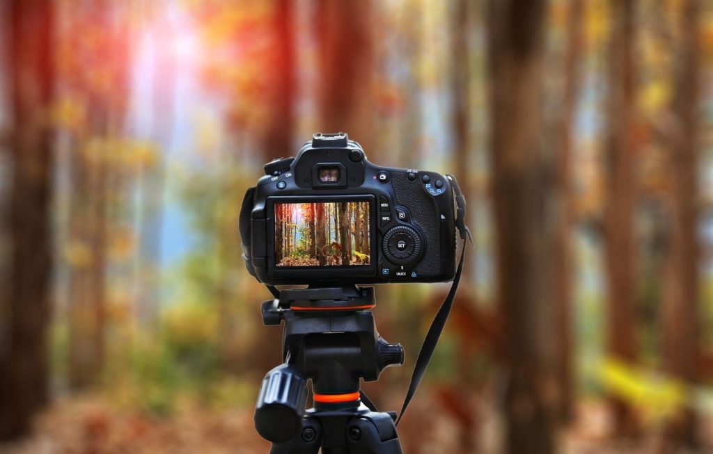 digital camera for landscape photography