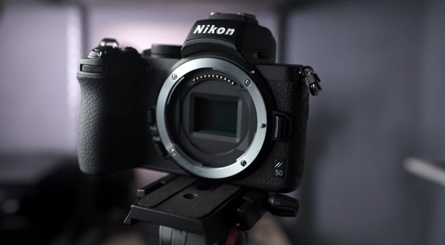 the best camera for macro photography